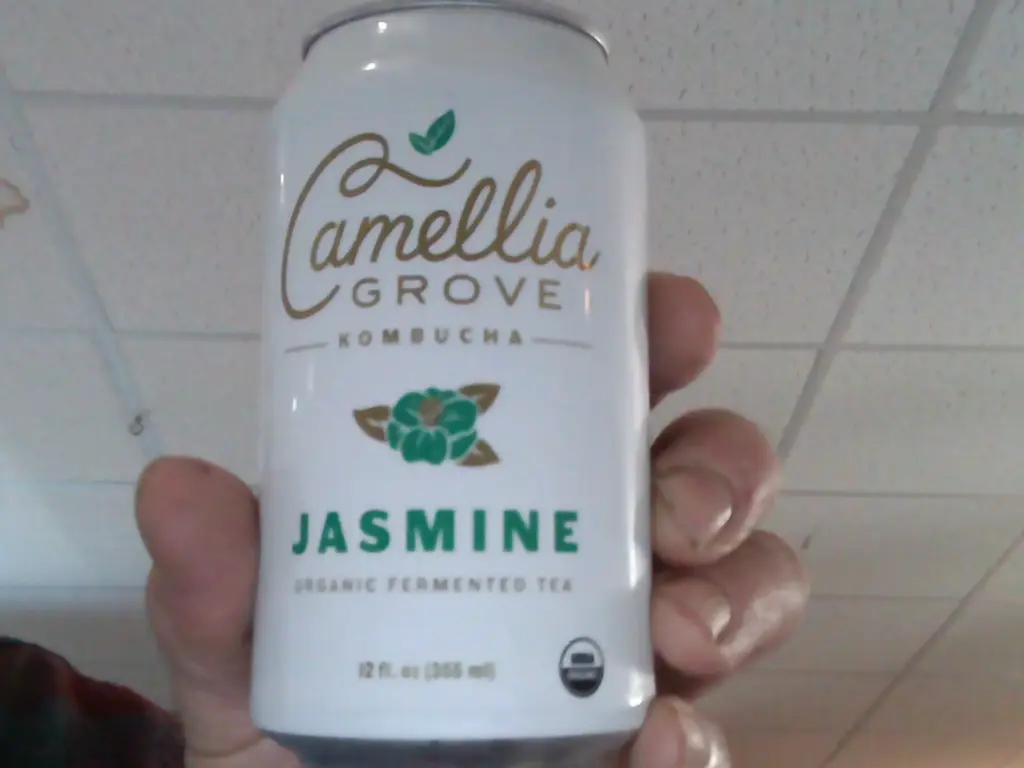 Kombucha, jasmine